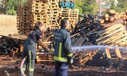 Palet üretim tesisindeki yangında 70 bin TL zarar oluştu