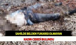 Sahilde Belden Yukarısı Olmayan Kadın Cesedi Bulundu