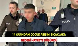 14 Yaşındaki Çocuk Abisini Bıçakladı: Nedeni Hayrete Düşürdü