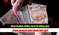 2024 Yılında Vergi, Ceza ve Harçlara Uygulanacak Zam Oranı Netleşti
