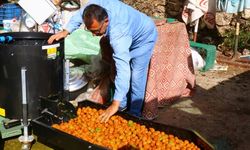 Büyükşehirden Geyikbayırlılara ceviz ayıklama ve salça makinesi