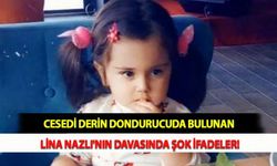 Cesedi Derin Dondurucuda Bulunan Lina Nazlı'nın Davasında Şok İfadeler!