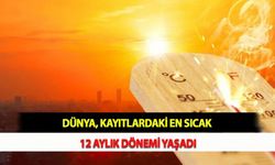 Dünya, Kayıtlardaki En Sıcak 12 Aylık Dönemi Yaşadı