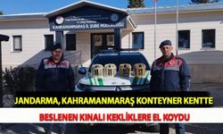 Jandarma, Kahramanmaraş Konteyner Kentte Beslenen Kınalı Kekliklere El Koydu
