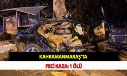 Kahramanmaraş'ta Feci Kaza: 1 Ölü