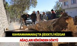 Kahramanmaraş'ta Şiddetli Rüzgar Ağaçları Kökünden Söktü