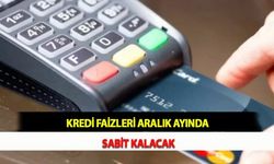 Kredi Faizleri Aralık Ayında Sabit Kalacak