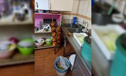 Mide bulandıran görüntülerin olduğu lokanta, belediye ekiplerince kapatıldı