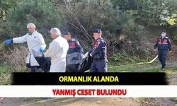 Ormanlık Alanda Yanmış Ceset Bulundu