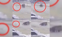 Sokak köpeğinin saldırdığı 3 tekerlekli motor böyle devrildi