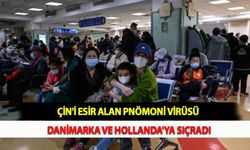 Çin'i Esir Alan Pnömoni Virüsü Danimarka ve Hollanda'ya Sıçradı