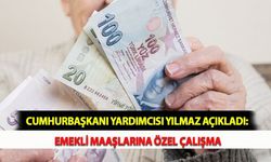 Cumhurbaşkanı Yardımcısı Yılmaz Açıkladı: Emekli Maaşlarına Özel Çalışma