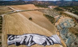 Fransız sanatçıdan depremde ortadan ikiye ayrılan bahçeye kardeşlik eseri