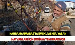Kahramanmaraş'ta Emekli Asker, Yaban Hayvanları İçin Doğaya Yem Bırakıyor