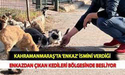 Kahramanmaraş'ta 'Enkaz' İsmini Verdiği Enkazdan Çıkan Kedileri Bölgesinde Besliyor
