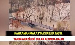 Kahramanmaraş’ta Dereler Taştı, Tarım Arazileri Sular Altında Kaldı