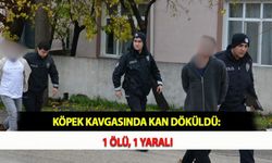 Köpek Kavgasında Kan Döküldü: 1 Ölü, 1 Yaralı