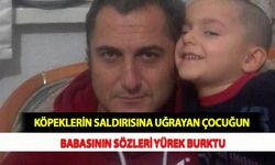 Köpeklerin Saldırısına Uğrayan Çocuğun Babasının Sözleri Yürek Burktu