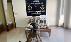 Osmaniye'de iki araçta toplam 60 kilo 600 gram uyuşturucu ele geçirildi:1 kişi tutuklandı