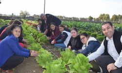 Özel öğrenciler, tarım lisesi öğrencilerinin ürettikleri mantarları ve sebzeleri birlikte topladı