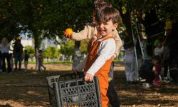 Tarsuslu minikler portakal hasadı yaptı