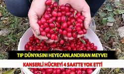 Tıp Dünyasını Heyecanlandıran Meyve! Kanserli Hücreyi 4 Saatte Yok Etti