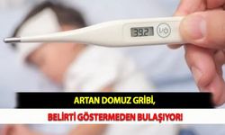 Artan Domuz Gribi, Belirti Göstermeden Bulaşıyor!