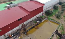 Depodan sızan tonlarca zeytinyağı araziye yayıldı