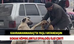 Kahramanmaraş'ta Yaşlı Vatandaşın Sokak Köpekleri İle Diyaloğu İlgi Çekti