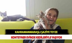 Kahramanmaraşlı Şaziye Teyze Konteyner Evinde Kedileriyle Yaşıyor