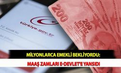 Milyonlarca Emekli Bekliyordu: Maaş Zamları E-Devlet'e Yansıdı
