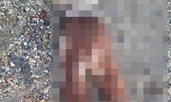 Sahil Vakaları Artıyor! Bir Sahilde Çocuk Cesedi Bulundu