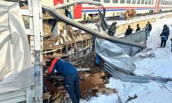 Tren, Hayvan Yüklü Tıra Çarptı: Ölü ve Yaralılar Var!