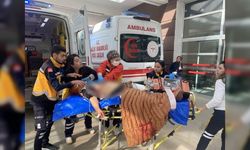 71 Yaşındaki Yaşlı Kadın Kocası Tarafından Bıçaklanarak Öldürüldü!