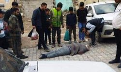 Biri Mezara Diğeri Hapse! Araba Sevdası Yüzünden Baba Katili Oldu