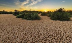 Dünya Meteoroloji Örgütü: Mart ve Mayıs Ayları Arasında El Nino Etkisi Olacak