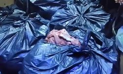 Durdurulan Tırdan 700 Kilo At Ve Eşek Eti Çıktı! Şüpheliler Gerçeği İtiraf Etti