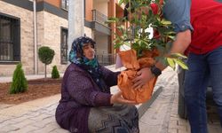 Kahramanmaraş'ta Tebrik Çiçekleri Depremzedelerin Yeni Evlerini Süsledi