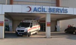 Dedenin Geri Manevrası 2 Yaşındaki Torununu Hayattan Kopardı