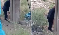 Dün Tavuk Bugün Köpek! Yaşlı Adam Köpeğe Cinsel İstismarda Bulundu