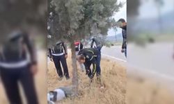 Kahramanmaraş’ta Motosiklet Refüjdeki Ağaca Çarptı: 1 Ölü!