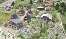 Üç Kız Kardeş Aldıkları Destekle Kahramanmaraş'a Tatil Köyü Kurdu