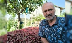 Kahramanmaraş'ta Üretilen Kiraz Bahçede 27.5 Markette 60 TL!