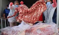 Tamı Tamına 650 Kilo! Veremli Etleri Vatandaşa Yedireceklerdi
