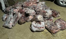 Yapılan Operasyonda 1 Ton Domuz Eti Ele Geçirildi!