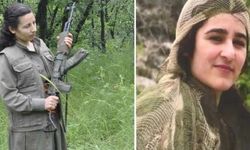 Buluşma Yerine Gelen Teröristler Karşılarında MİT'i Buldu