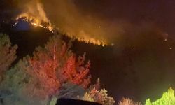 Kahramanmaraş’taki Orman Yangını 18 Saat Sonra Kontrol Altına Alındı