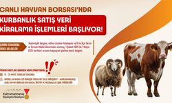 Canlı Hayvan Borsası’nda Kurban Satış Yerleri Kiralama İşlemi 15 Mayıs’ta Başlayacak
