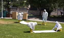 Kahramanmaraş’ta Kene Tehditine Karşı Ekipler Sahada
