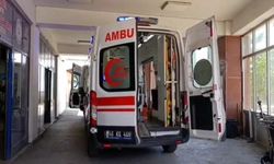 Kahramanmaraş'ta Kurban Kesiminde 323 Yaralı